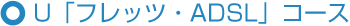 U�u�t���b�c�EADSL�v�R�[�X
