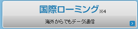���ۃ��[�~���O �C�O����ł��f�[�^�ʐM
