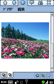 FOMA M1000 JPEG���k�@���x��2