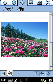 FOMA M1000 JPEG���k�@���x��4